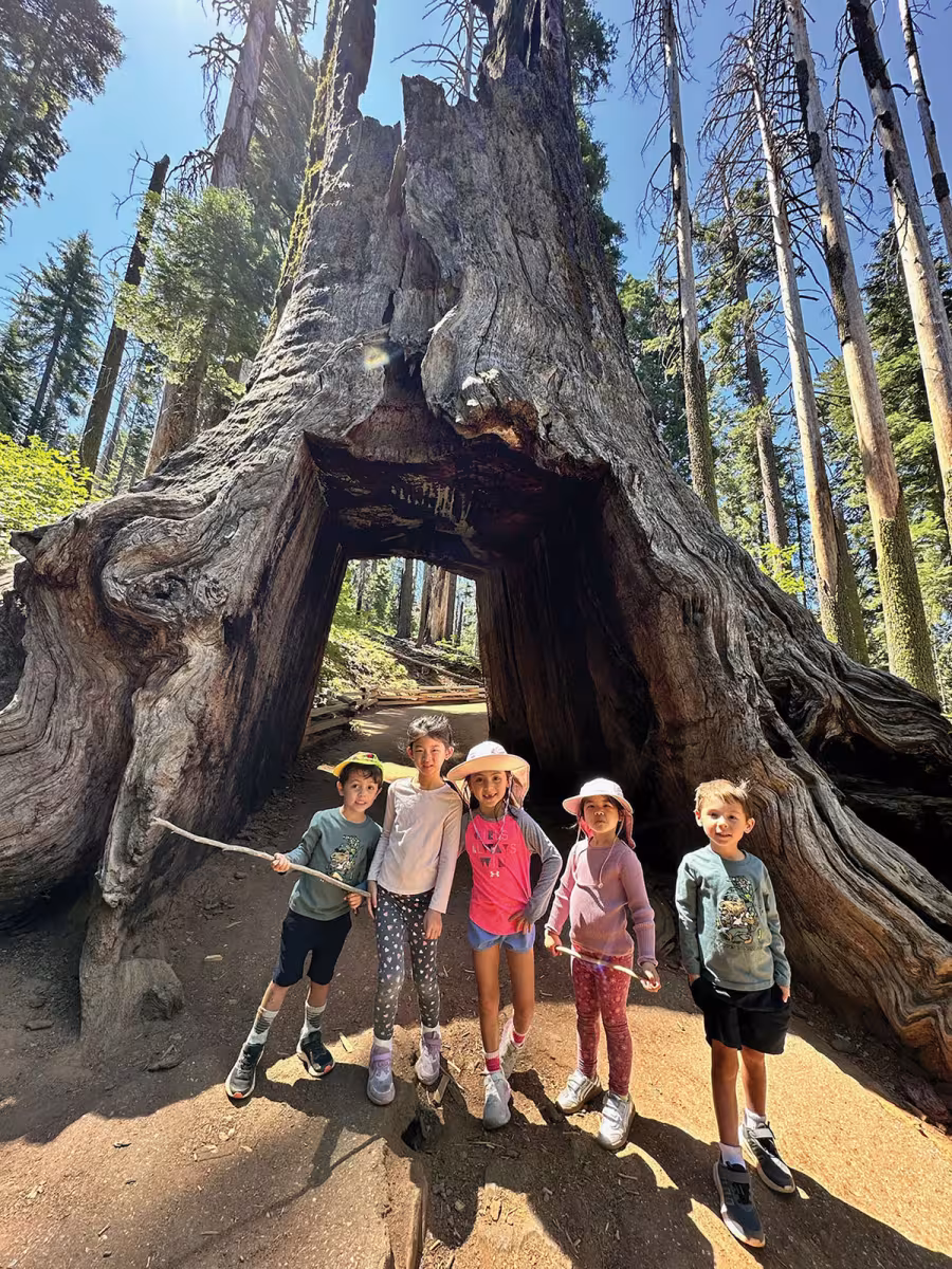 Ethan Huynh, James Huynh, Eva Johnson, Alex Johnson, Flynn Johnson